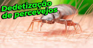 Dedetização de Percevejo, GO