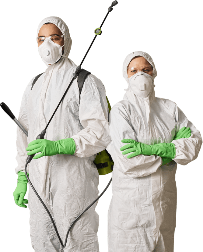 cleaning workers disinfecting apartment in team 2025 05 07 20 25 13 TML5TBM