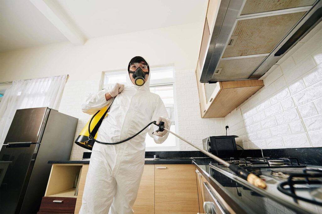 technician spraying chemicals in house 2025 02 11 13 52 49 EK43U7M