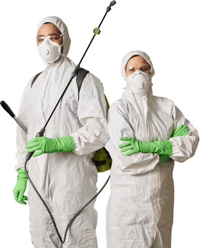 cleaning workers disinfecting apartment in team 2025 05 07 20 25 13 TML5TBM